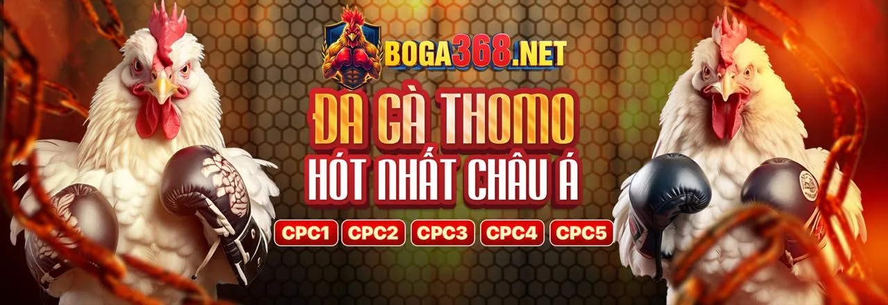 An toàn và bảo mật thông tin Win55